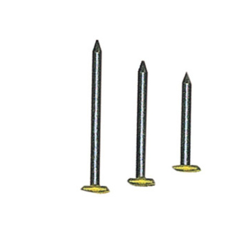 10 x CHIODI P/QUADRI TESTA RICOP OTT 2X30 MM DA 100 PZ