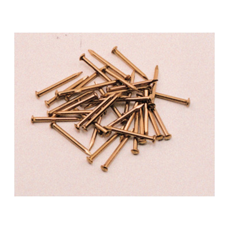 10 x SC CHIODI TESTA BOMBATA OTTONE 1,8X25 MM 60 G*