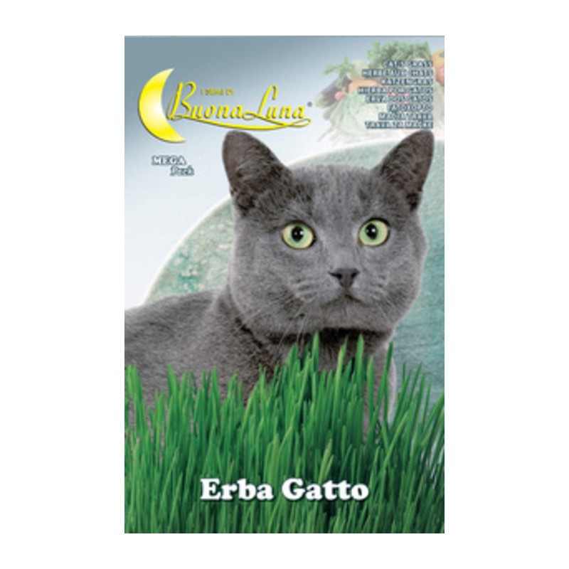 10 x SEMI ORTO ERBA GATTO