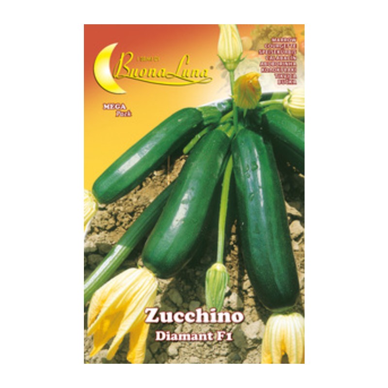 10 x SEMI ORTO ZUCCHINO DIAMANT