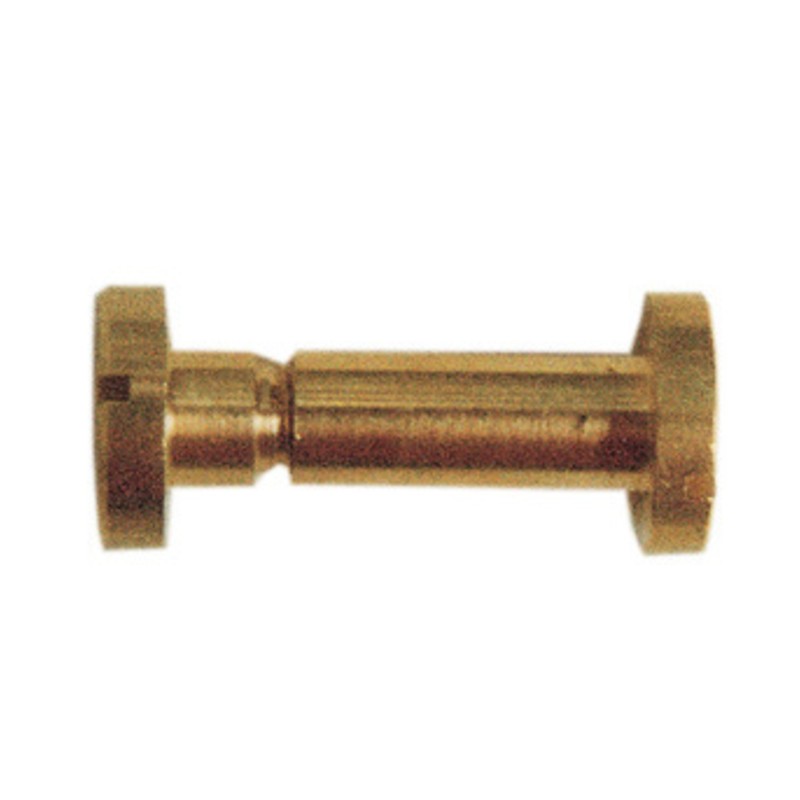 100 x VITI A CANNOCCHIALE OTTONE D 6X40 MM*