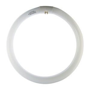 12 x CIRCOLINA 32W G10Q 2300LM 4200K