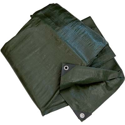 2 x TELONE OCCHIELLATO PE LIGHT VERDE WORKIT