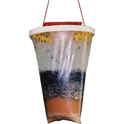 2 x TRAPPOLA MOSCHE FLY TRAP COPYR