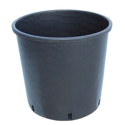 25 x VASO VIVAISTA