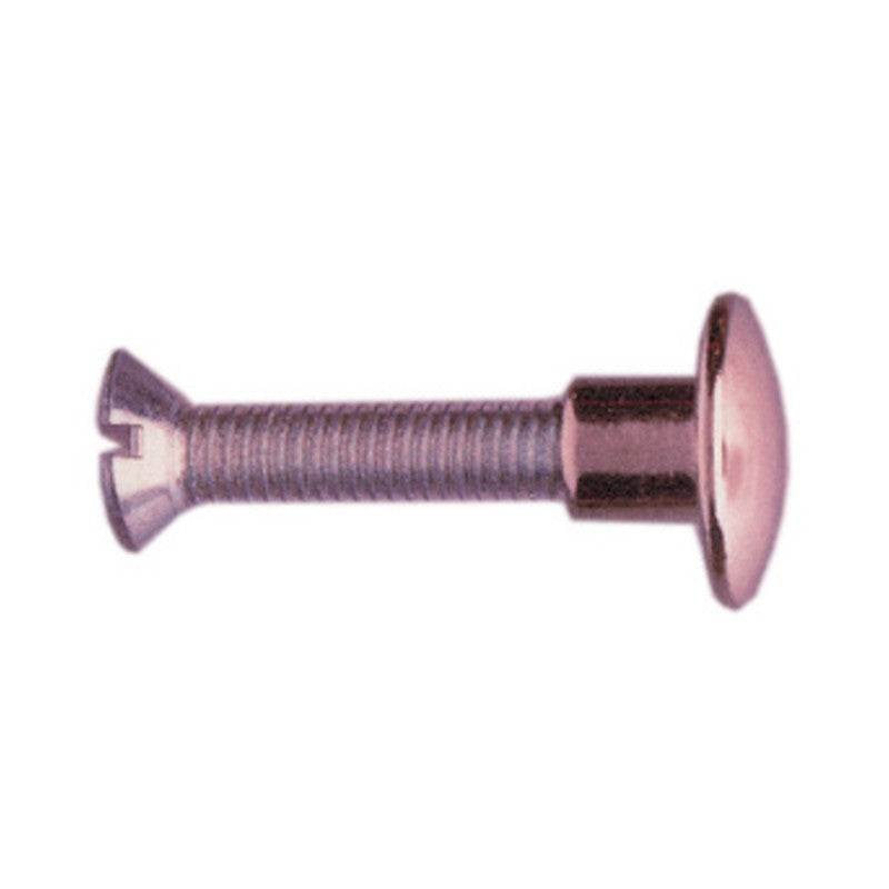 250 x VITE P/SEDIA 30 MM BORCHIA OTTONE NICHELATO