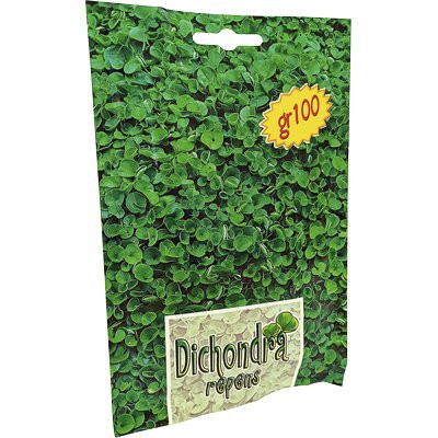 3 x SEME PRATO DICHONDRA REPENS