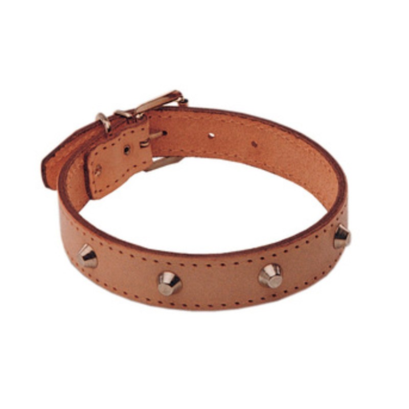 6 x COLLARE P/CANI CUOIO BORCHIATO 35 X 610 MM