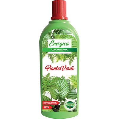 6 x CONCIME LIQUIDO PIANTE VERDI ENERGICA
