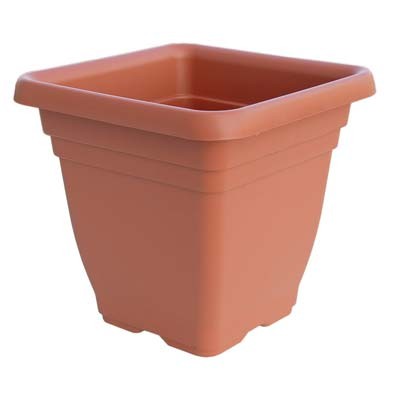 6 x VASO QUADRO LAURUS ICS