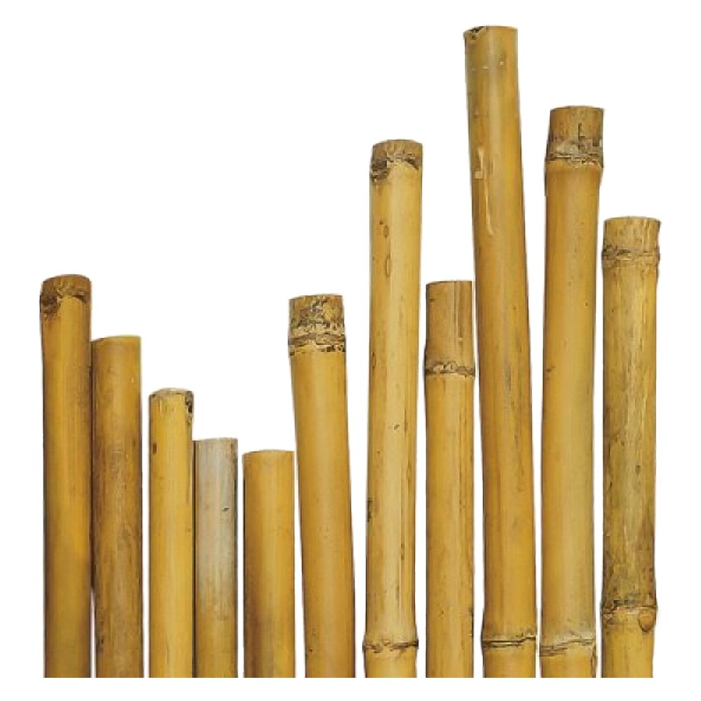 CANNA BAMBU' Ø 28/30 mm. circa - h. mt 2,1