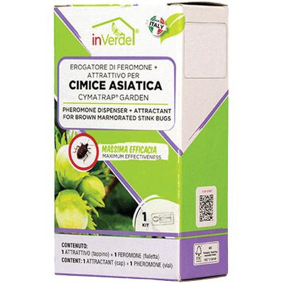 ESCA TRAPPOLA CIMICI ASIATICHE INVERDE