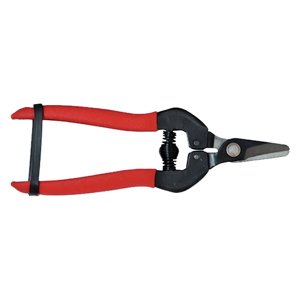 FORBICI COGLIUVA cm 16