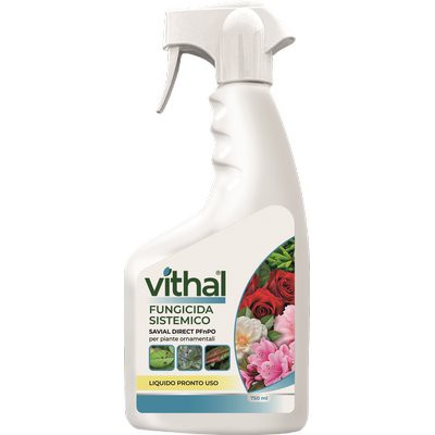 FUNGICIDA SISTEMICO VITHAL
