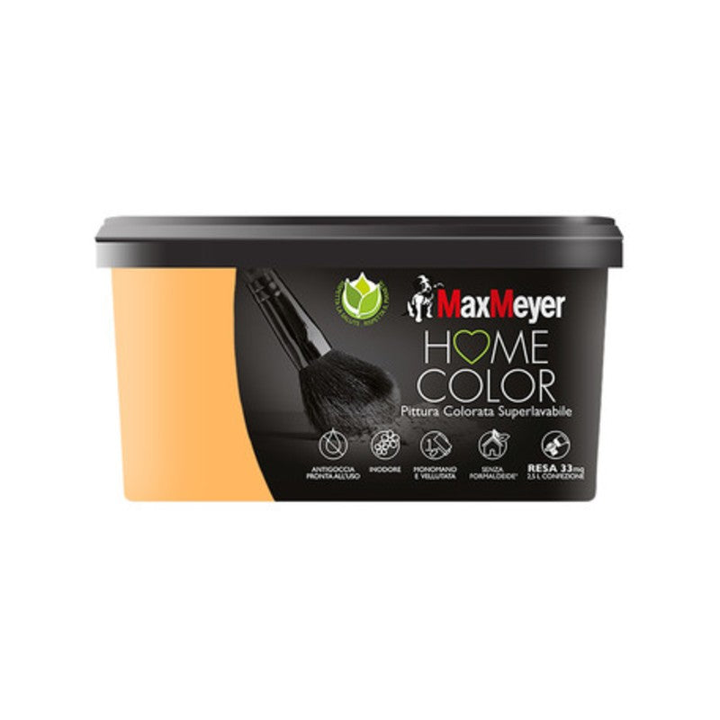 HOME COLOR SUPERLAVABILE LT.2,5 MELON