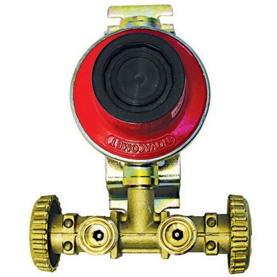 MINI CENTRALINA CON REGOLATORE 1800 SENZA MANICHETTE Misura: Kg/H 4
