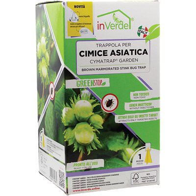 TRAPPOLA CIMICI ASIATICHE INVERDE