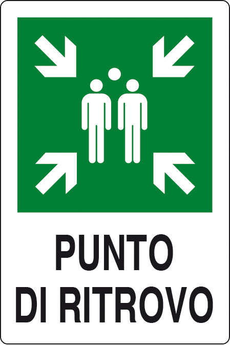 TARGA PUNTO DI RITROVO ALL.30X20 A NORMA EU