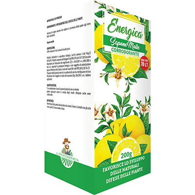 CORROBORANTE LIQUIDO SAPONE MOLLE ENERGICA