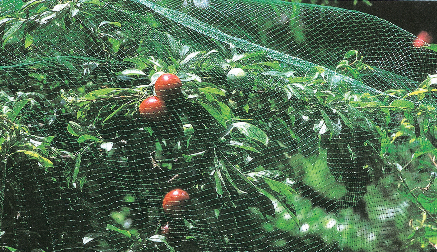 RETE DI PROTEZIONE ANTIUCCELLI H2 X10MT.