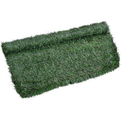 SIEPE SEMPREVERDE AD AGHI GREEN SCREEN