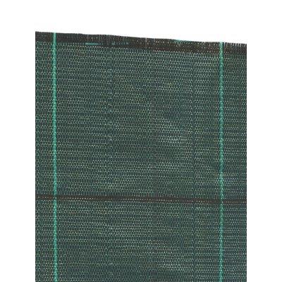 TELO PACCIAMATURA PPL VERDE MINIROLL STARS