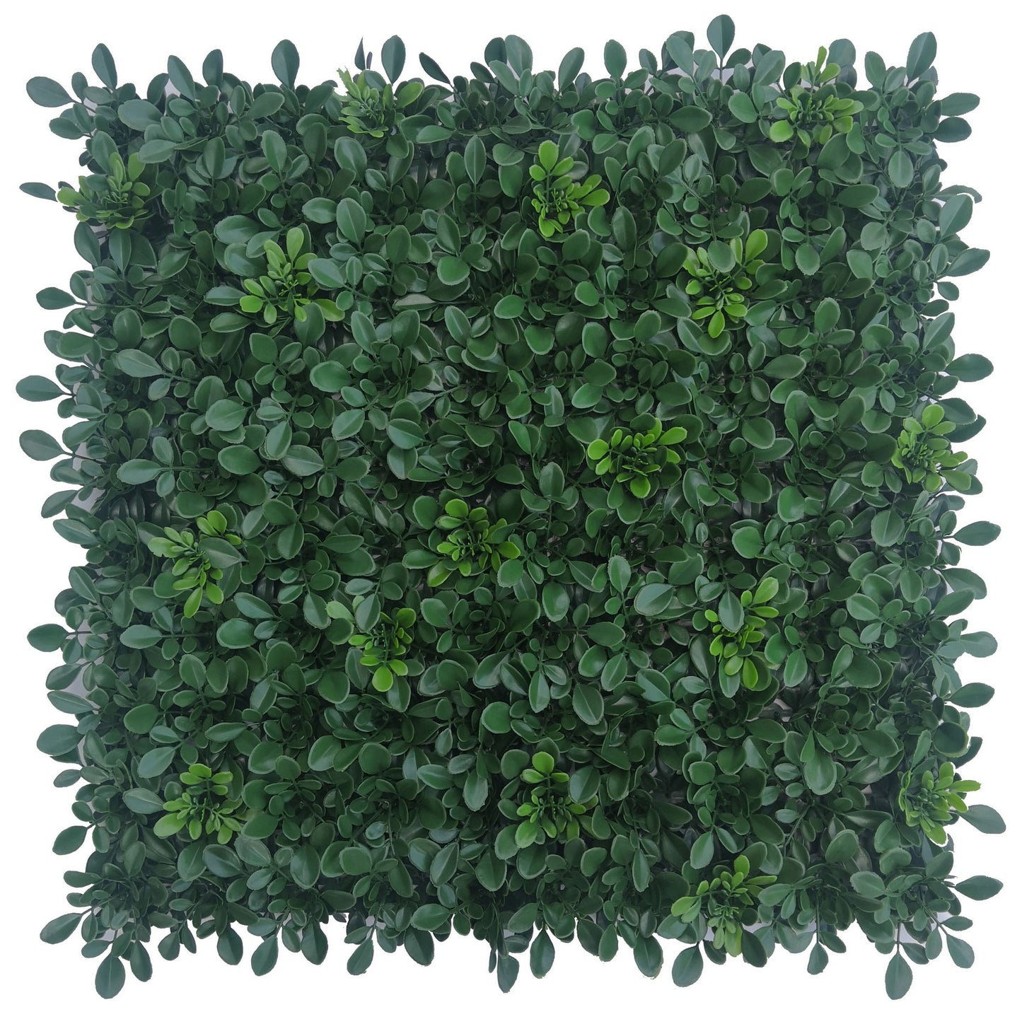 SIEPE ARTIFICIALE CM 100X100 MOD. PLANT