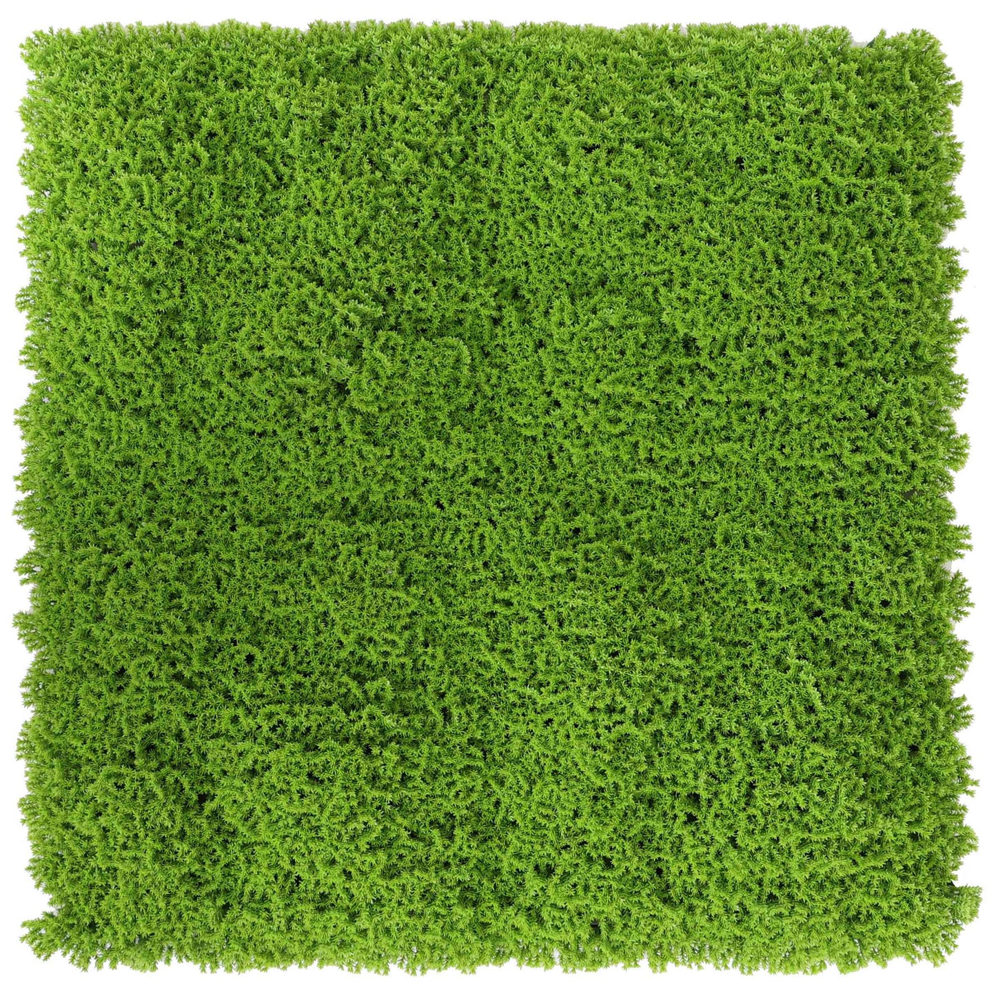 SIEPE ARTIFICIALE CM 100X100 MOD. GREEN