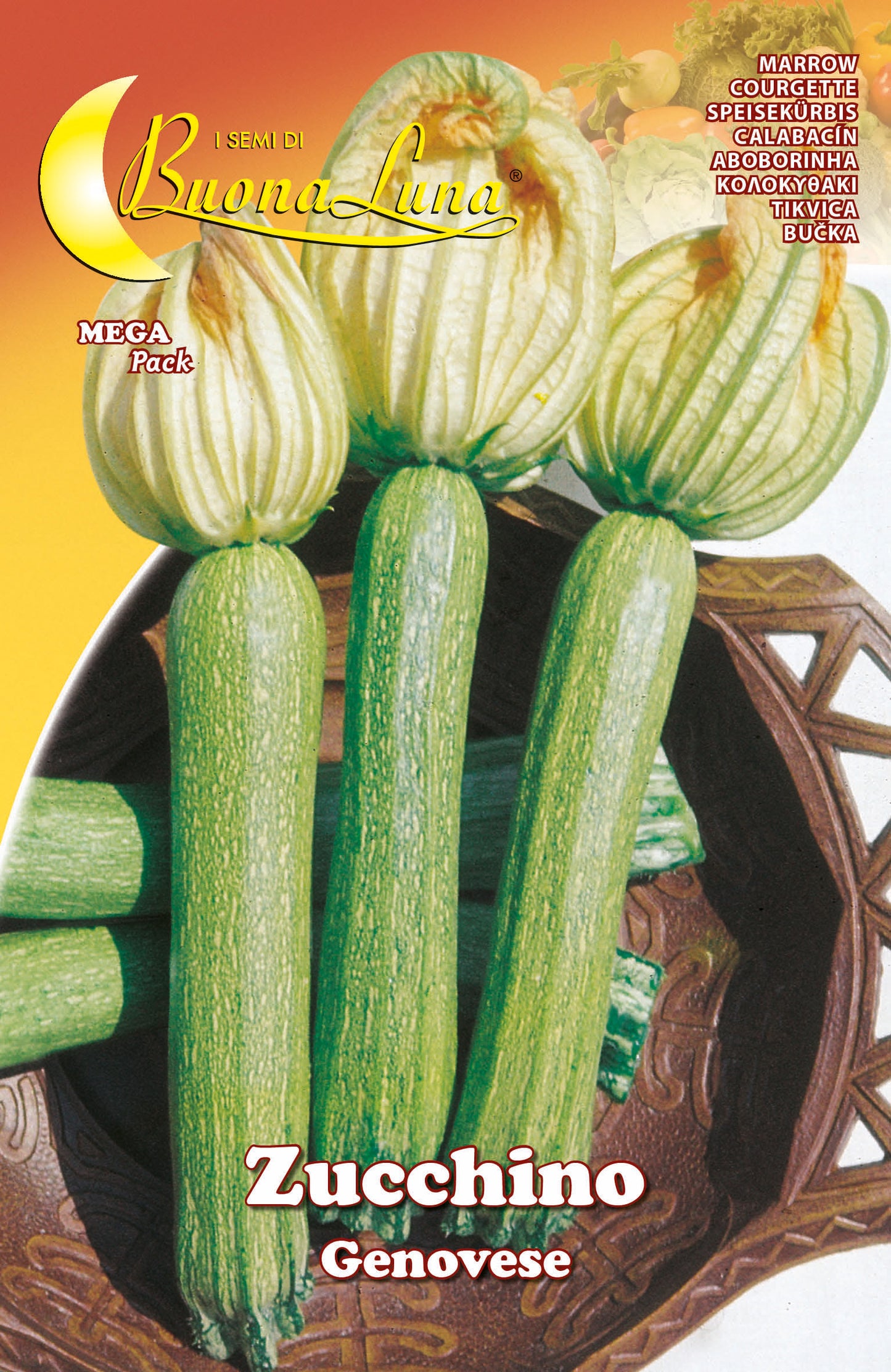 SEMI ORTO ZUCCHINO GENOVESE