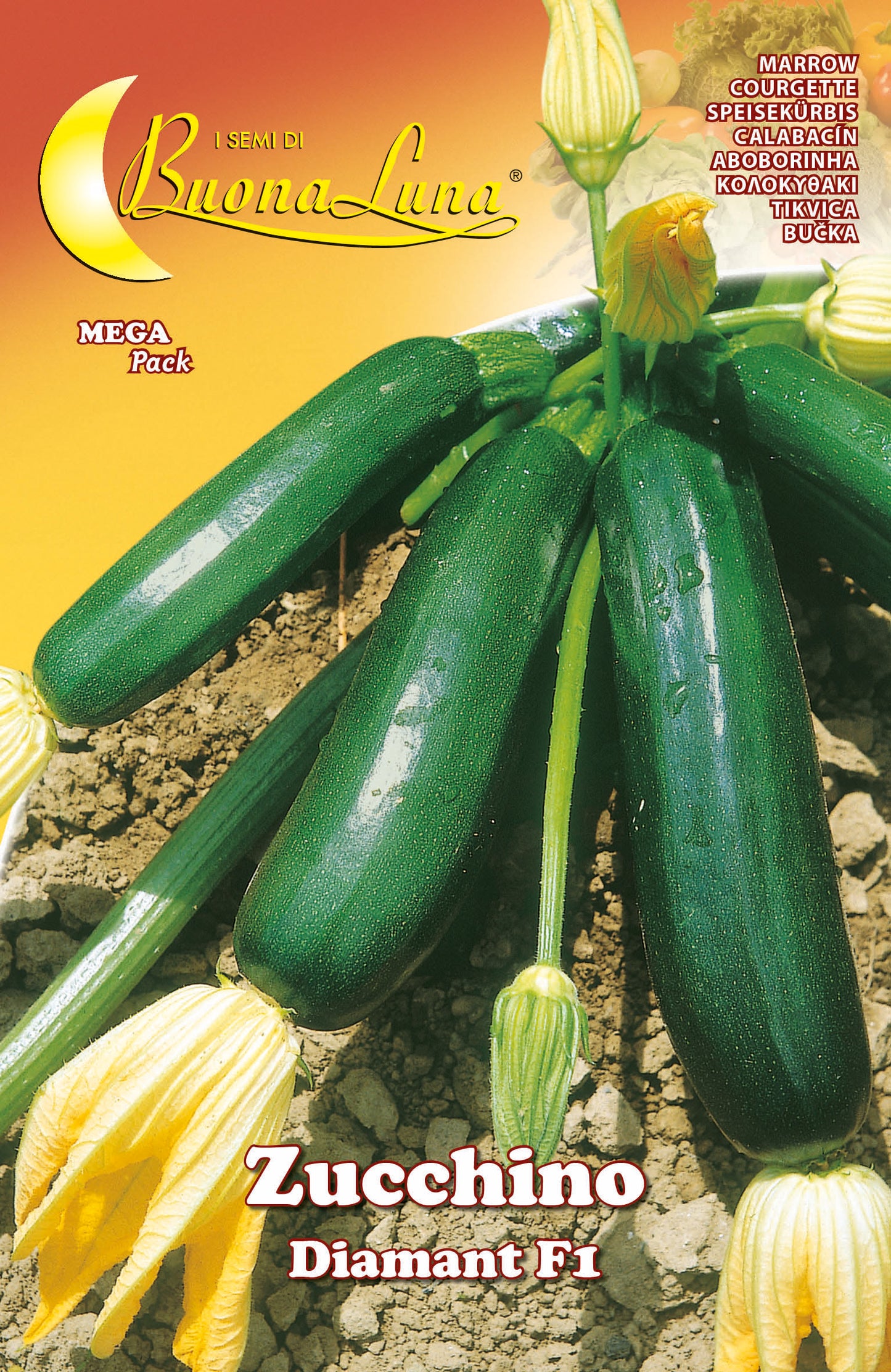 SEMI ORTO ZUCCHINO DIAMANT