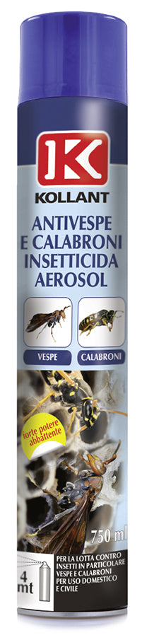 INSETTICIDA ANTIVESPE AEROSOL ML.750
