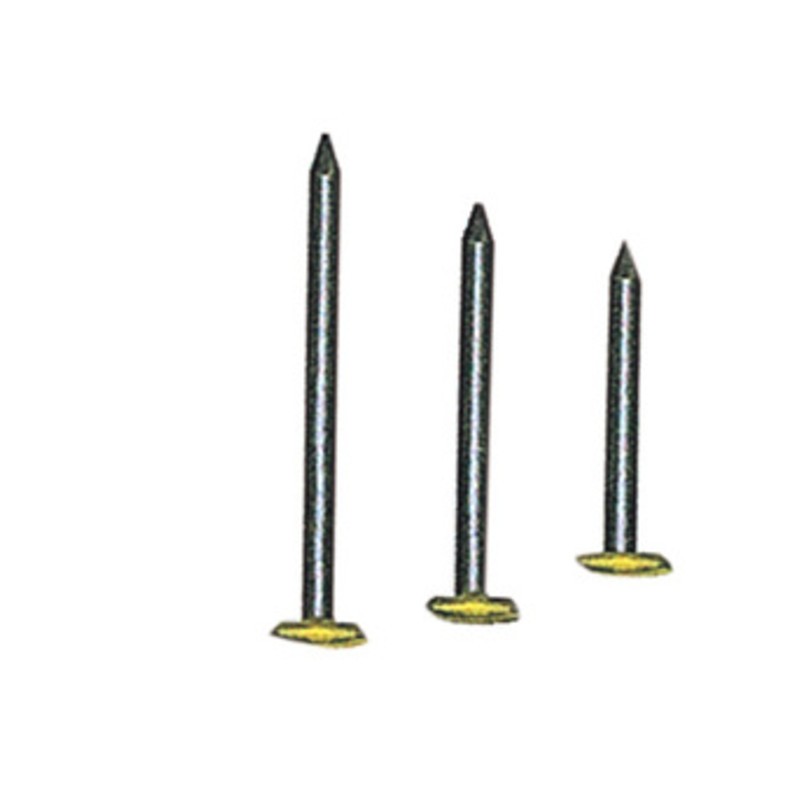 10 x SC CHIODI P/QUADRI TESTA RICOP OTT 2X20 MM 100 PZ*
