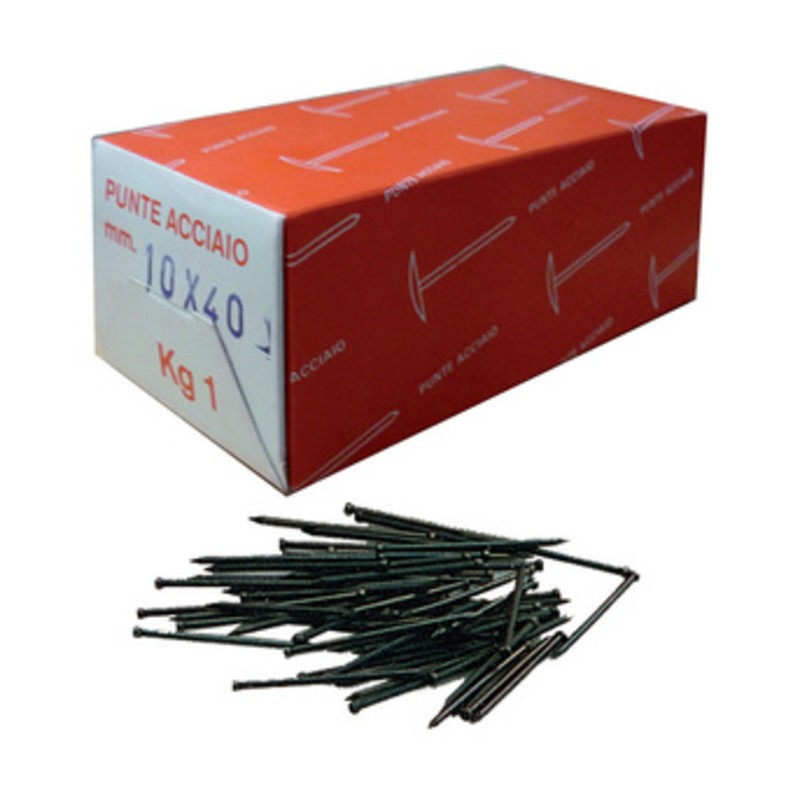 10 x SC CHIODI TESTA GRUPPINO ACCIAIO 7X20  80 G*