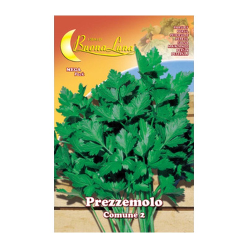 10 x SEMI ORTO PREZZEMOLO COMUNE 2