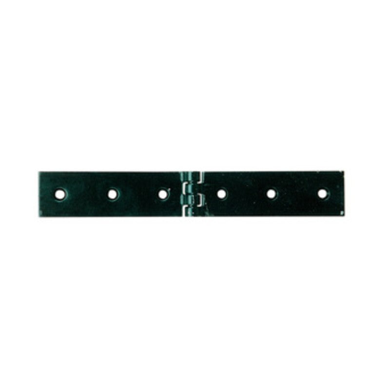 12 x CERNIERA A LIBRETTO ACCIAIO P/CASSE 120 X 30 MM