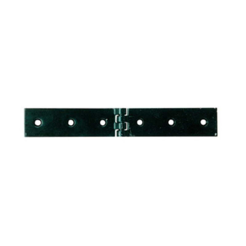 12 x CERNIERA A LIBRETTO ACCIAIO P/CASSE 180 X 30 MM