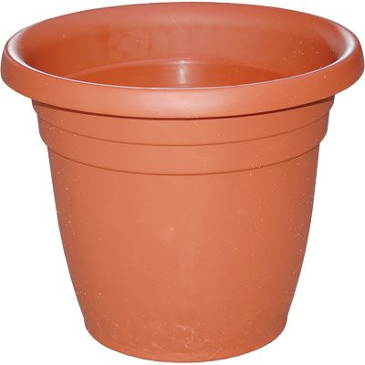 12 x VASO TONDO THEA ICS