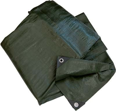 2 x TELONE OCCHIELLATO PE PESANTE VERDE WORKIT