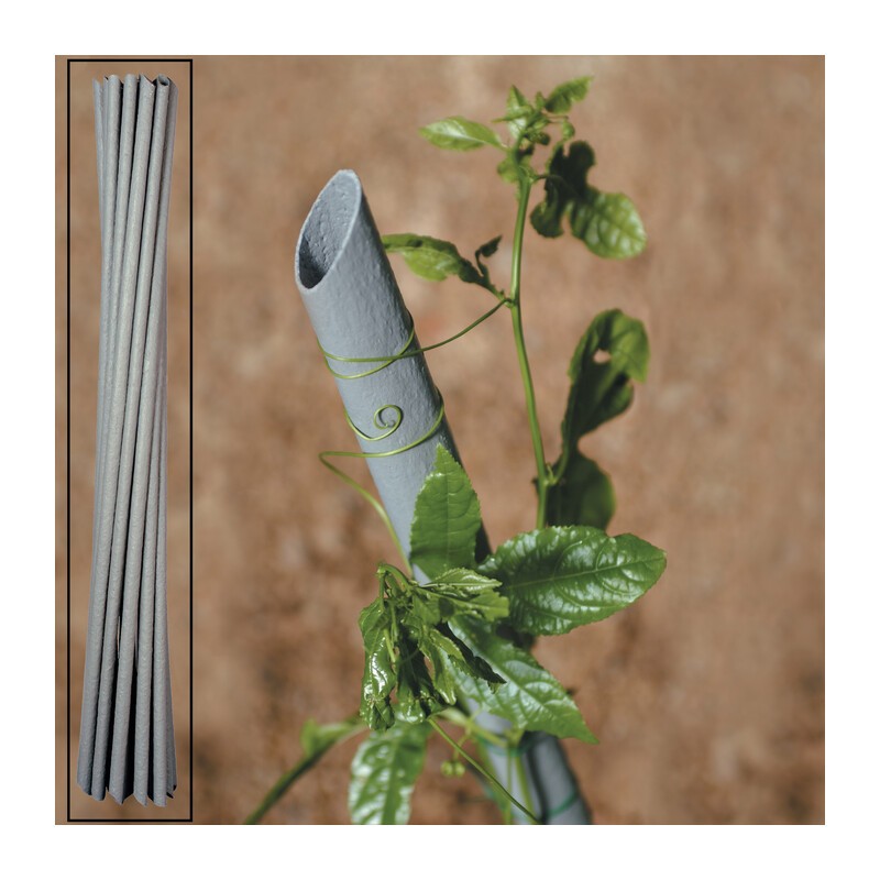 20 x CANNETTA PVC P/PIANTE VIGNA D 27XH180 CM