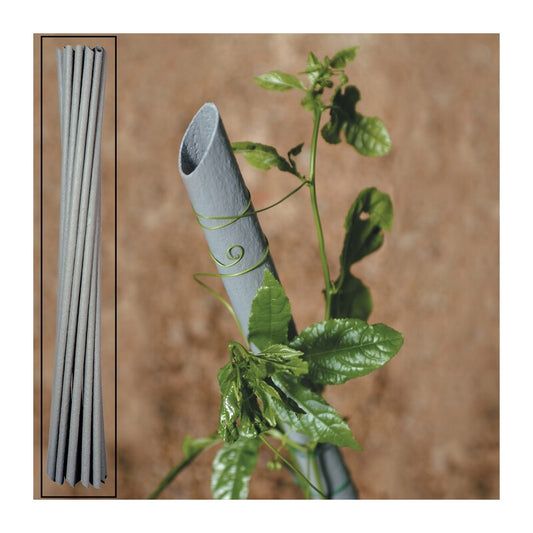 20 x CANNETTA PVC P/PIANTE VIGNA D 27XH180 CM