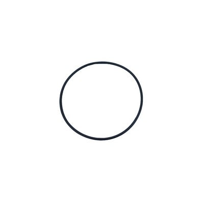 20 x GUARNIZIONE O-RING PER RACCORDI PVC Misura: Diam. 100