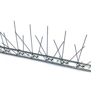 25 x DISSUASORE P/VOLATILI BASE INOX 100CM 80 SPILLI AISI 204