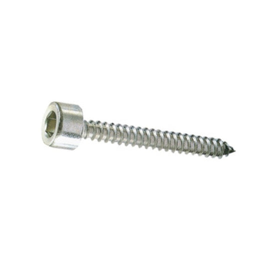 5 x VITE P/FERRO AUTOFILETTANTE TCEI 4,8X 13MM ZINCATA