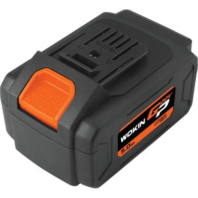 BATTERIA LITIO GP20V WOKIN