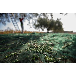C RETE P/OLIVE ANTISPINA 32G 4 X250M CALABRIA