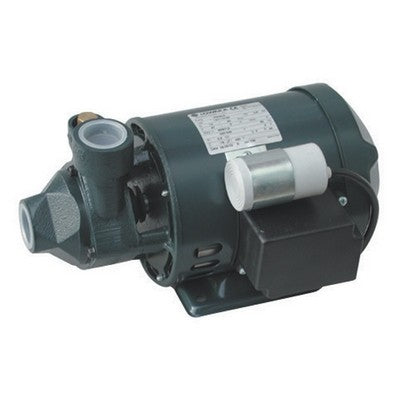 ELETTROPOMPA PERIFERICA LOWARA SERIE P Misura: Kw 0,60 Hp 0,80