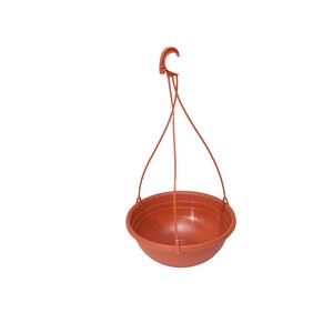 GANCIO TULIPANO P/VASO SERENELLA 50HCM