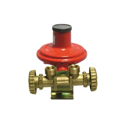 MINI CENTRALINA CON REGOLATORE 2205 SENZA MANICHETTE Misura: Kg./ h 10