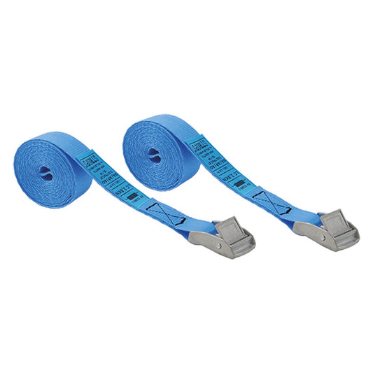 NASTRO DI FISSAGGIO CON FIBBIA mt.2,5 x mm 25 cf 2pz