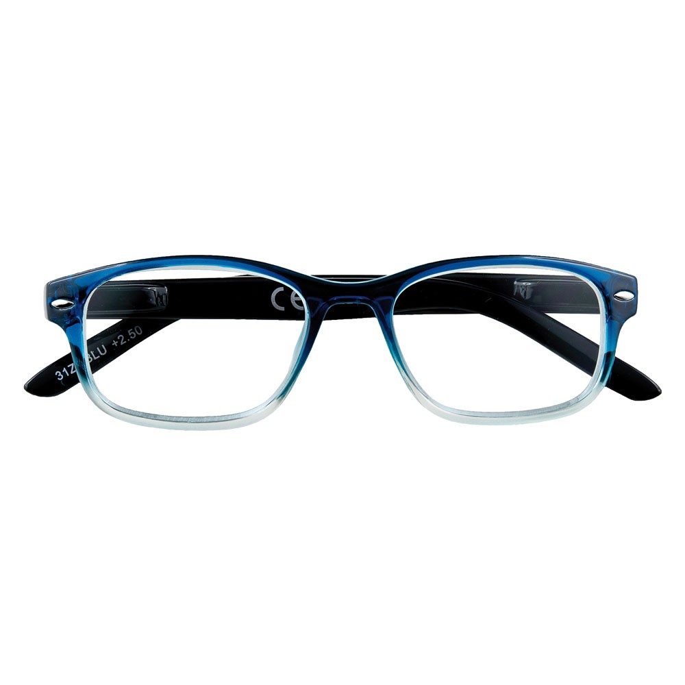 OCCHIALI PER LETTURA 'B1-BLU' + 2,50